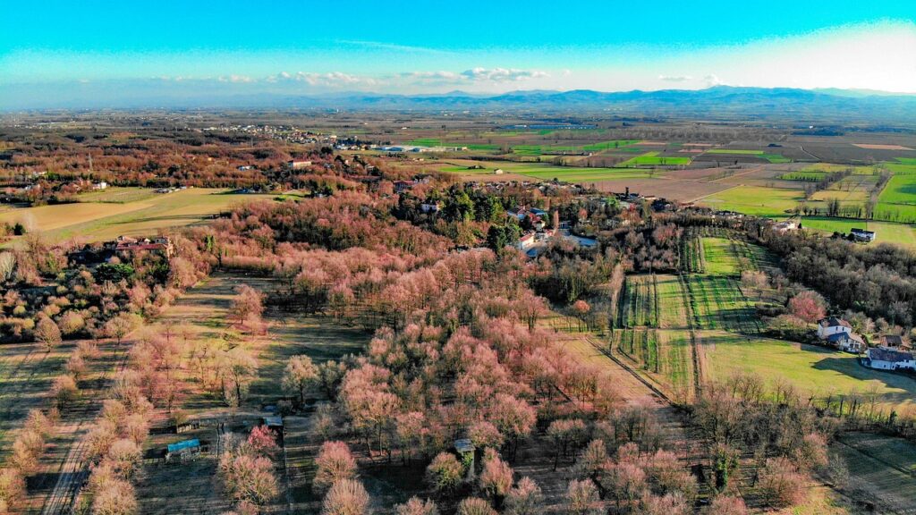 Campagna con campi e colline vista dal drone